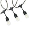 Gardens 12-Count 24FT Rope Lights Edison Bulbs Outdoor String Lights
